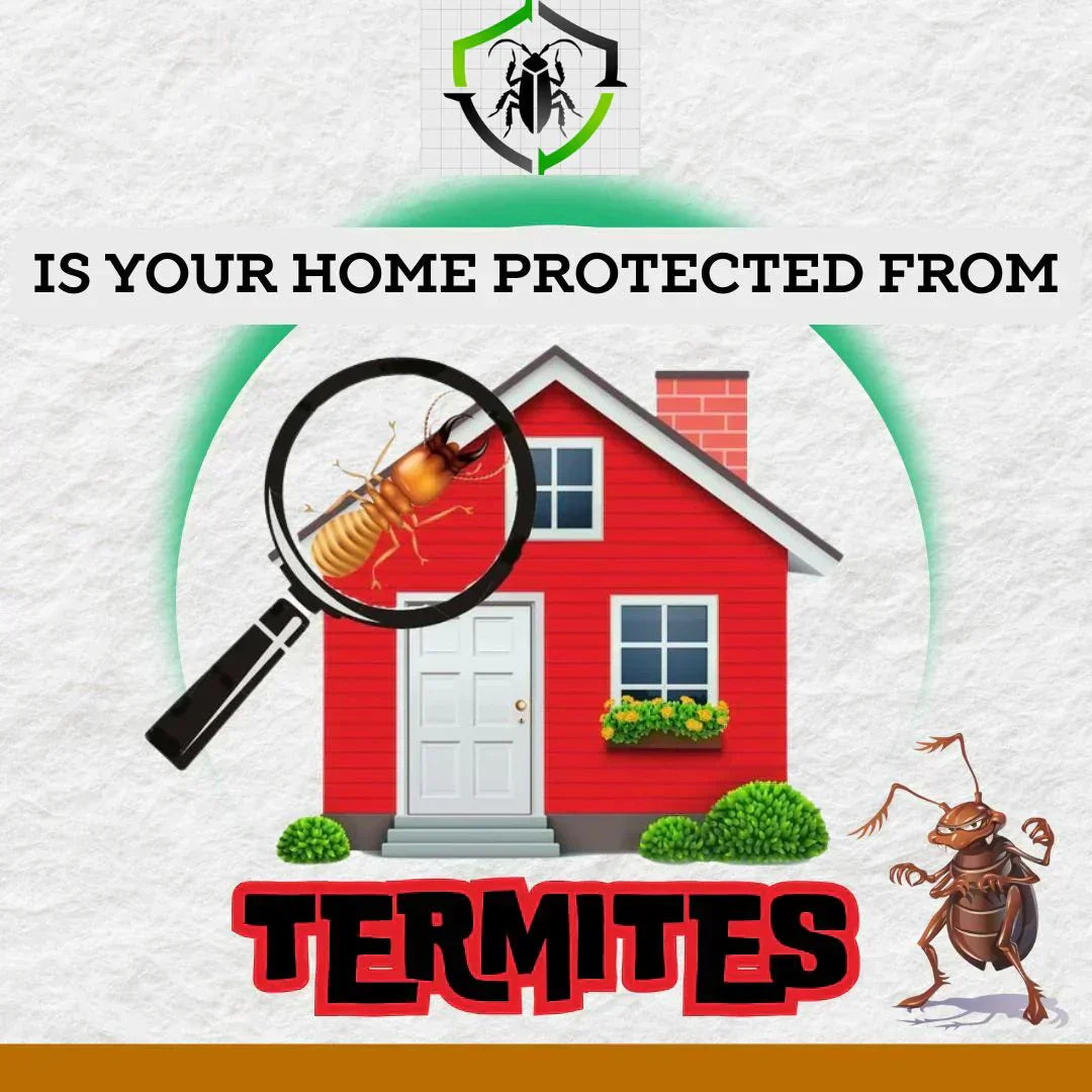 MITX TERMITE KILLER PREMIUM SPRAY – BUY 1 GET 2 FREE (50ML X 3)