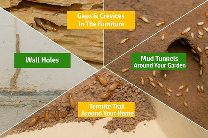 MITX TERMITE KILLER PREMIUM SPRAY – BUY 1 GET 2 FREE (50ML X 3)