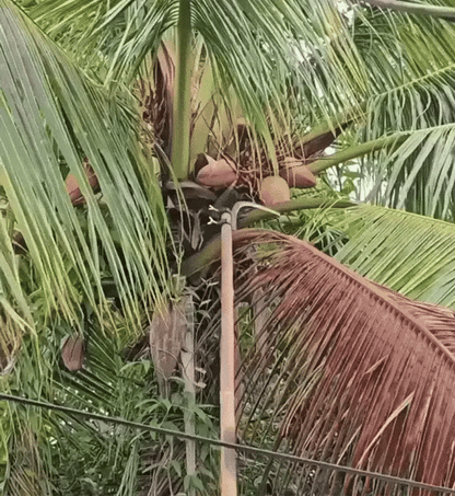 Multifunctional Portable Grass Sickle Cutter Head Tool