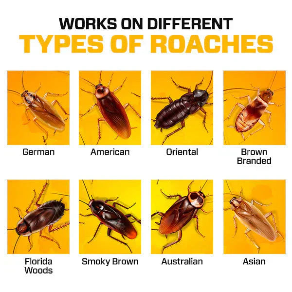 Roach Shield Natural Gel – Safe & Powerful Cockroach Killer for Kitchens, Bathrooms & Cabinets