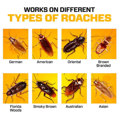 Roach Shield Natural Gel – Safe & Powerful Cockroach Killer for Kitchens, Bathrooms & Cabinets